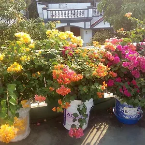 Homestay Heavenly, Kochi